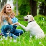 How to Train Your Dog