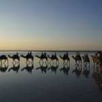 Broome Camel Rides